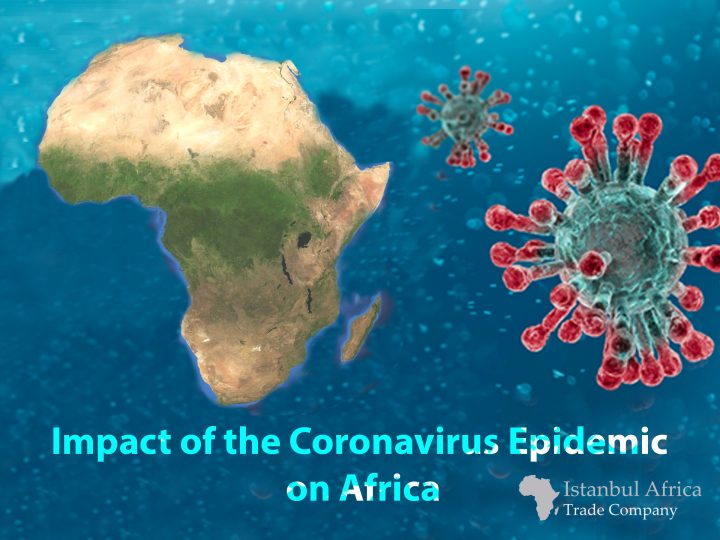 Impact of the Coronavirus Epidemic on Africa