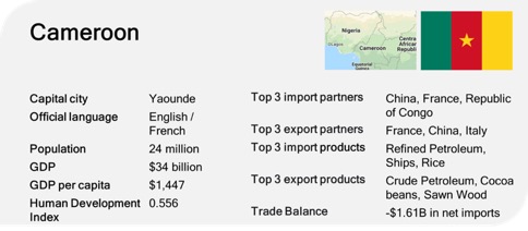 cameroon profile trade gdp export import