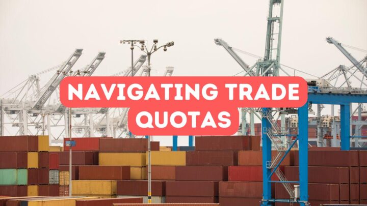 Navigating Trade Quotas in Turkey