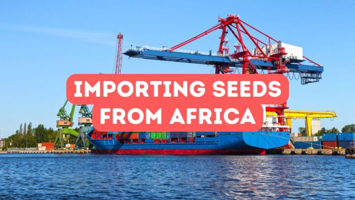 Importing Seeds from Africa