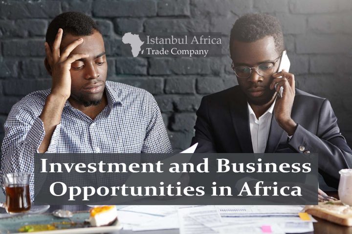 Top 25 Investment and Business Opportunities in Africa