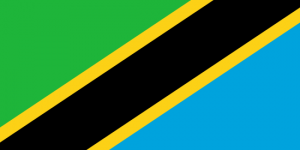 africa country flag